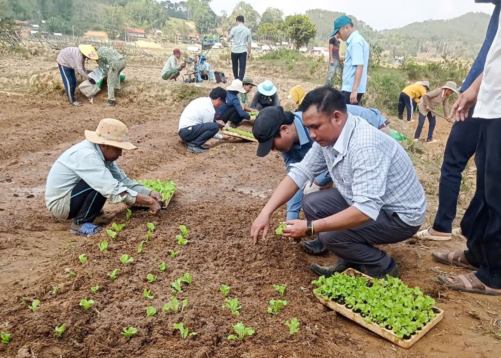 Đảng bộ huyện Kon Plông: Xây dựng tổ chức cơ sở Đảng vững mạnh